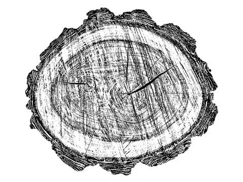 Distressed wood texture 스톡 일러스트