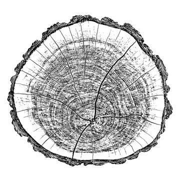 Distressed wood texture イラスト素材