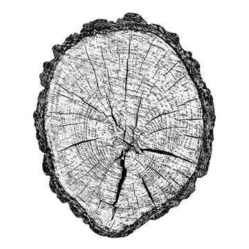 Distressed wood texture 스톡 일러스트