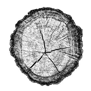 Distressed wood texture Illustration
