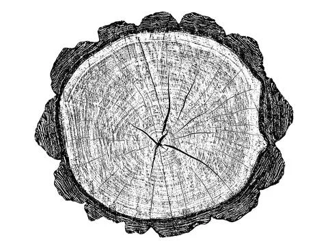 Distressed wood texture 스톡 일러스트