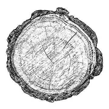 Distressed wood texture 스톡 일러스트