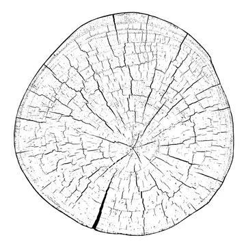 Distressed wood texture Stock Illustration