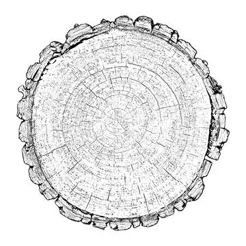 Distressed wood texture Stock Illustration