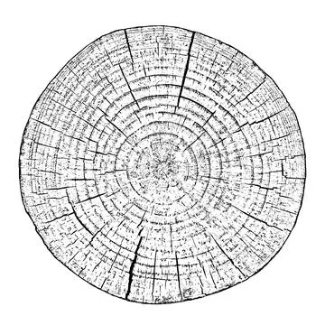 Distressed wood texture Stock Illustration