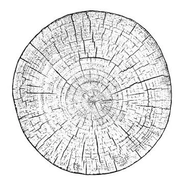 Distressed wood texture 스톡 일러스트