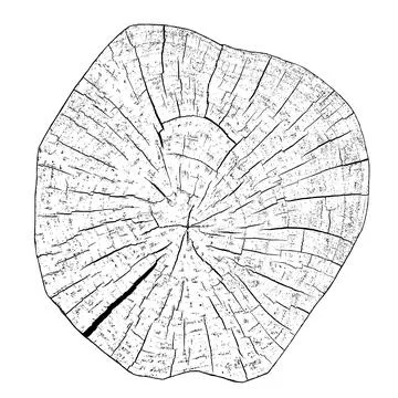 Distressed wood texture Illustrazione stock