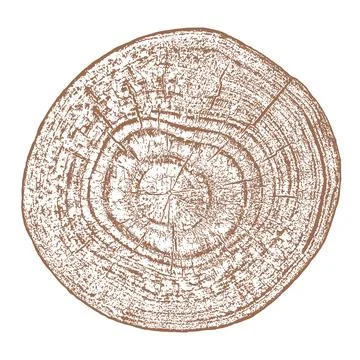 Distressed wood texture Illustrazione stock