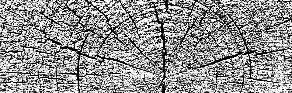 Distressed wood texture 스톡 일러스트