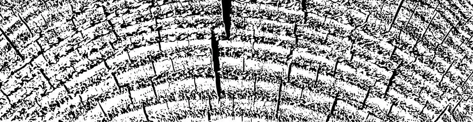 Distressed wood texture Stock Illustration