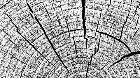 Distressed wood texture 스톡 일러스트
