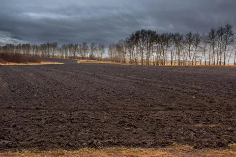 Distributed field in cloudy weather. Stock Photos