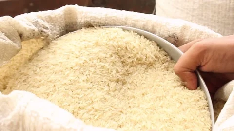 Distributing rice close up Stock Footage 58869563