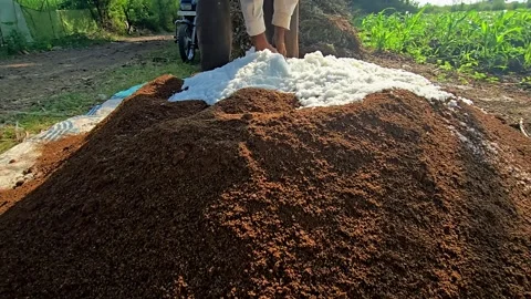 Distributing white urea crystals across a brown fertilizer heap by hand, enhanci Vídeos de archivo 348742328