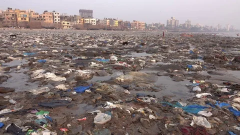Disturbing quantity of plastic rubbish and other pollution at Mumbai beach Vidéo 85332016