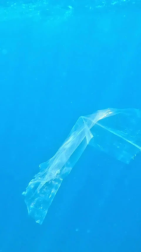 A Disturbing Underwater Encounter: Plastic Pollution in Ocean Habitat, 库存影片 330095572