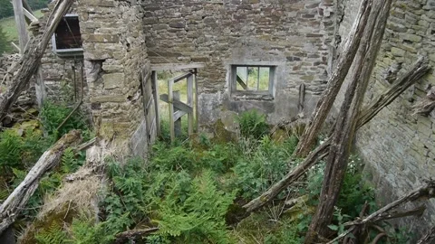 Disused courtyard Stock Footage 313532629