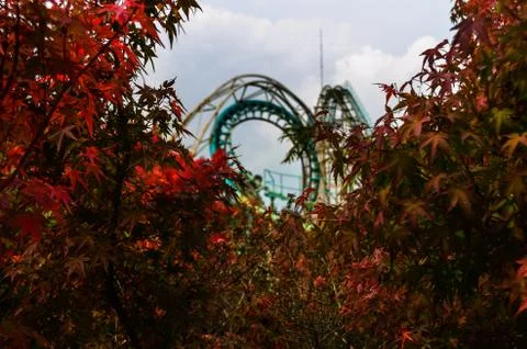 Disused Rollercoaster seen in the distance through Autumn colour leaves. Stock Photos