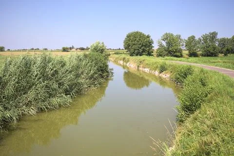 Ditch and a trail Stock Photos