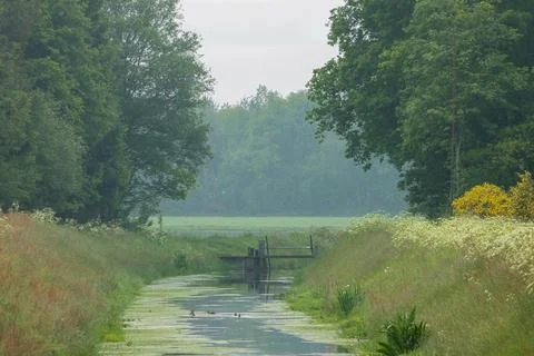 Ditch Between Meadows with Water Level Weir in the Distance, Drenthe Stock Photos