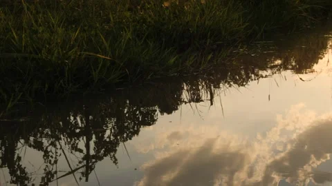 Ditch Stockbeeldmateriaal 173700726