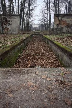 Ditch full of fallen leaves next to a wall in a park in autumn Stock Photos