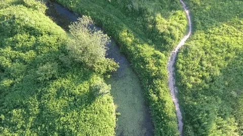 Ditch with mud in the countryside. Stock Footage 101366600