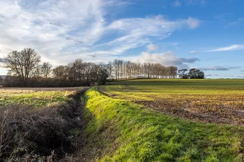 A ditch running between agricultural fields in rural Sussex, on a sunny win.. Stock Photos