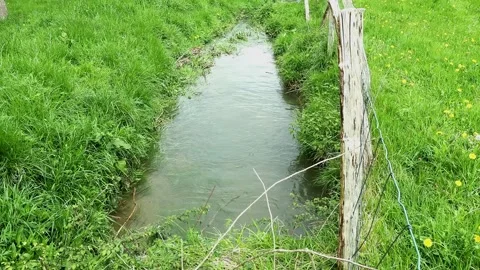 Ditch stream running through a grass paddock. Vidéo 333300681