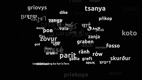 Ditch Translated in 71 Worldwide Languages Endless Looping 3d Zooming Wordclo Video stock 145200231