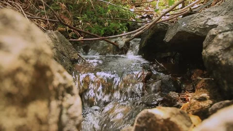 Ditch water flow in nature Stock Footage 257678250