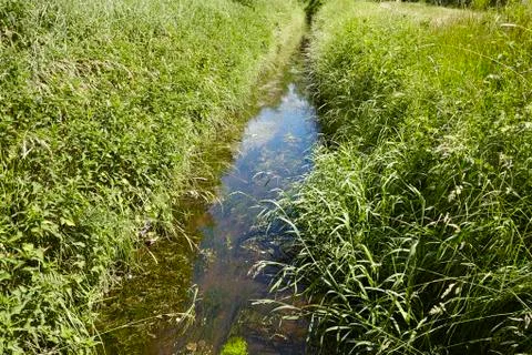 Ditch with water Stock Photos