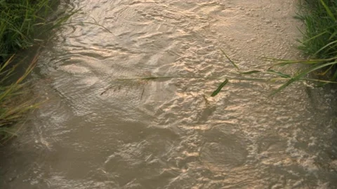 Ditch2 Stockbeeldmateriaal 173700931