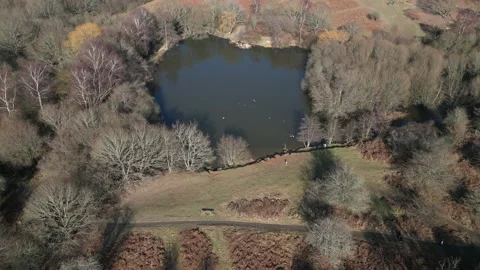 Ditchling common Stock Footage 233352868