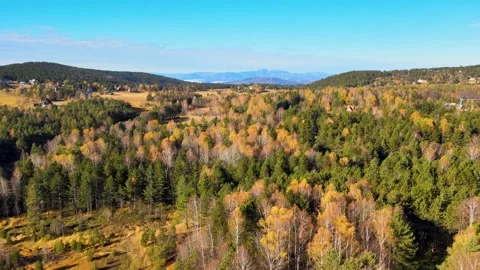 Divcibare's forest and mountain Stock Footage 143806700