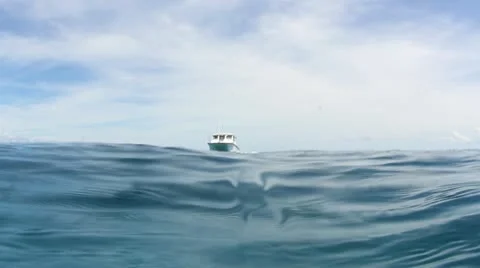 Dive Boat Arriving Video stock 10875677