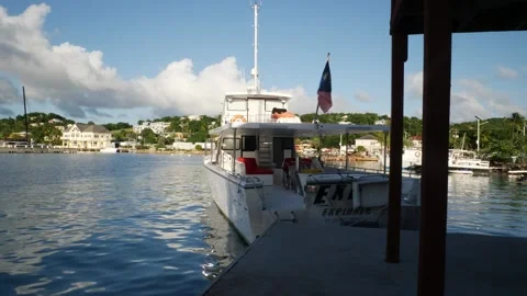 Dive boat docked Stock Footage 149215879