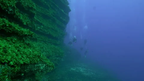 Dive into the deep blue waters of La Palma Canary Islands 库存影片 312099161