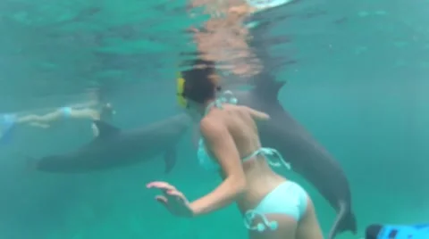 Dive with dolphin Stock Footage 57950049