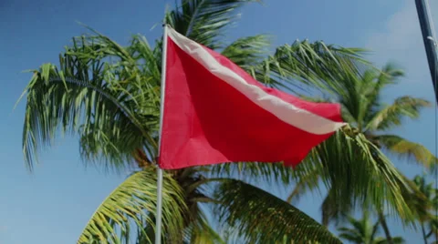 Dive flag in the wind under a palm tree in the blue sky Stock Footage 30630851