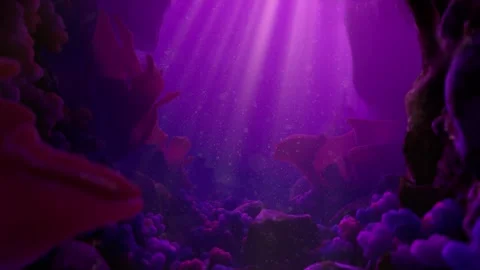 Dive Stock Footage 255613184