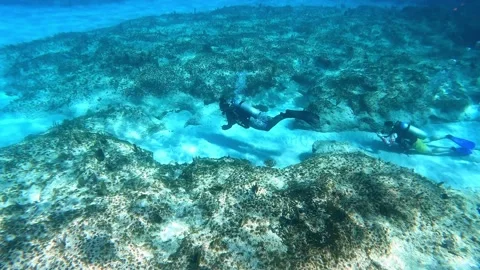 A dive guide and his customer scuba diving in Cayman Islands. Stock Footage 237141933