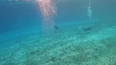 A dive guide and his customer scuba diving Turtle Reef in Cayman Islands. Stock Footage 238425829