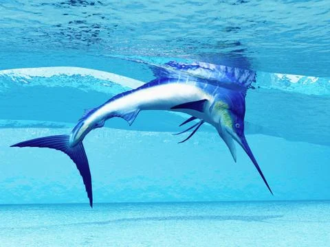 Dive Stock Illustration