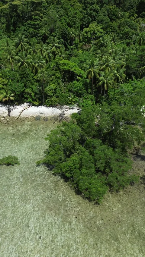 Dive instructor briefing group using illustrated map Stock-Footage 325377239