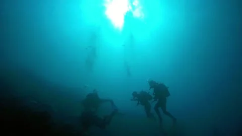 Dive instructor makes descending with studenst to the bottom Stock Footage 158799803