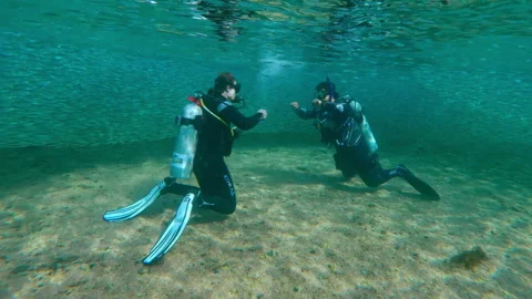 Dive instructor prepares beginner for diving, huge school of Silversides fish Stock Footage 336484511