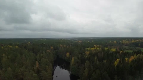 Dive in to the lake of the forest Stock Footage 162396217