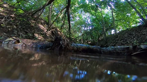 Dive In Little Stream Stock Footage 197530518