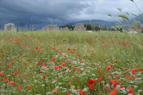 Dive in the nature Stock Photos